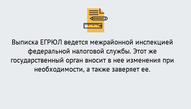 Почему нужно обратиться к нам? Тейково Выписка ЕГРЮЛ в Тейково ?