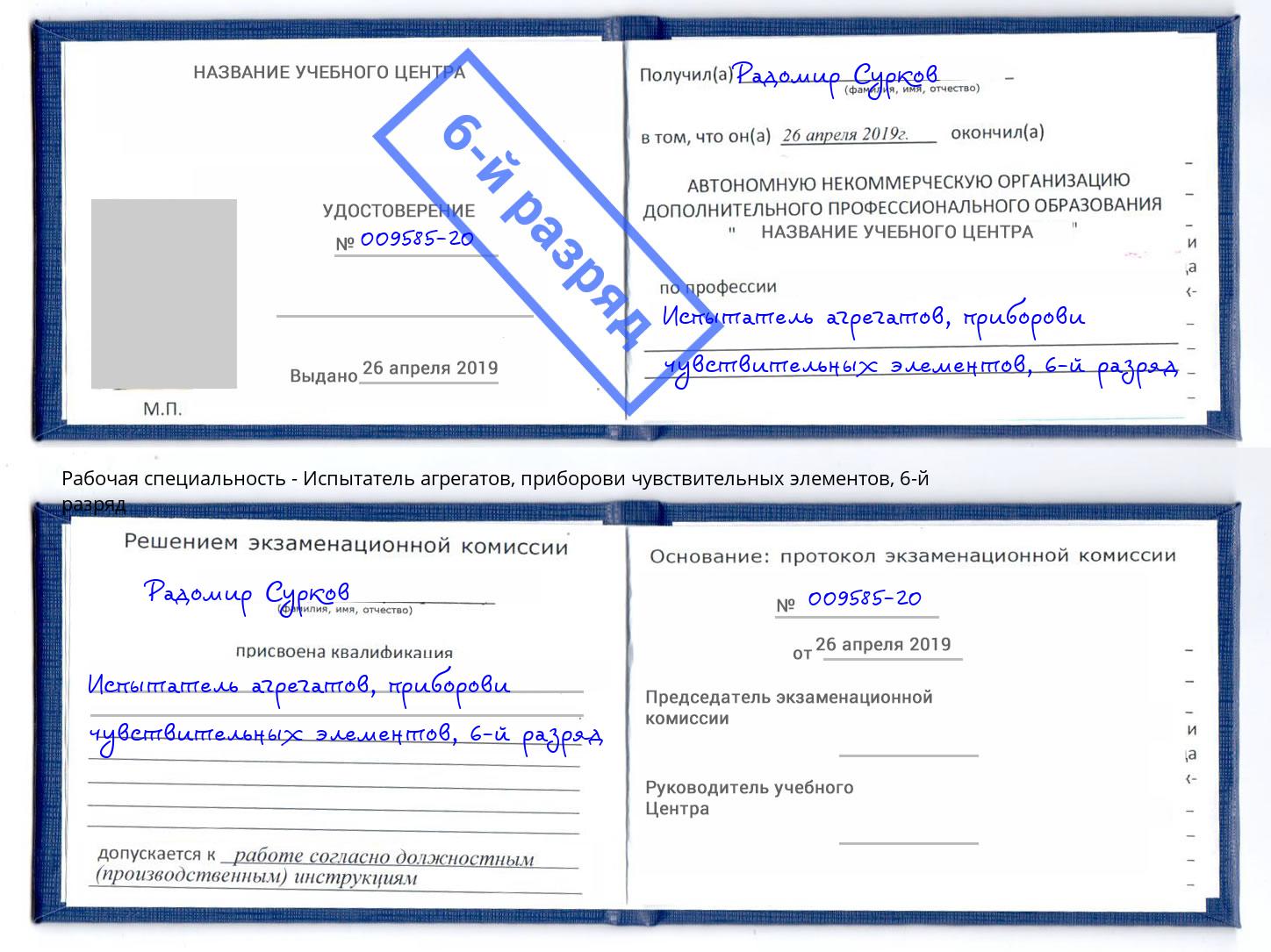 корочка 6-й разряд Испытатель агрегатов, приборови чувствительных элементов Тейково