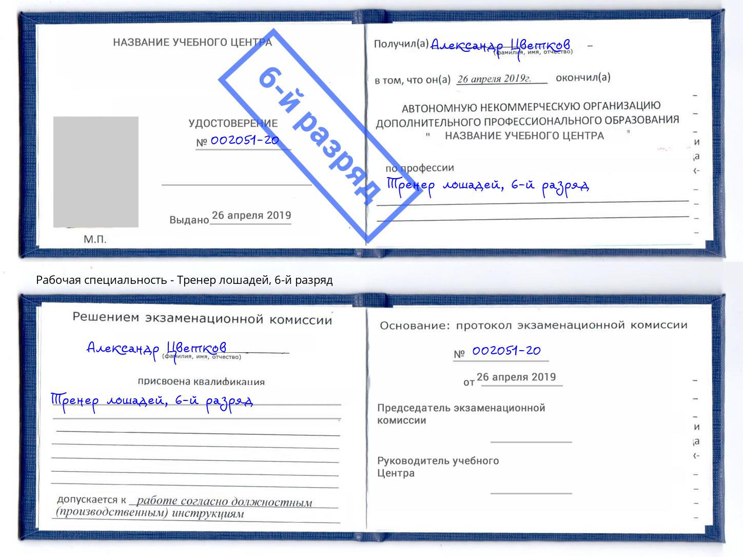 корочка 6-й разряд Тренер лошадей Тейково