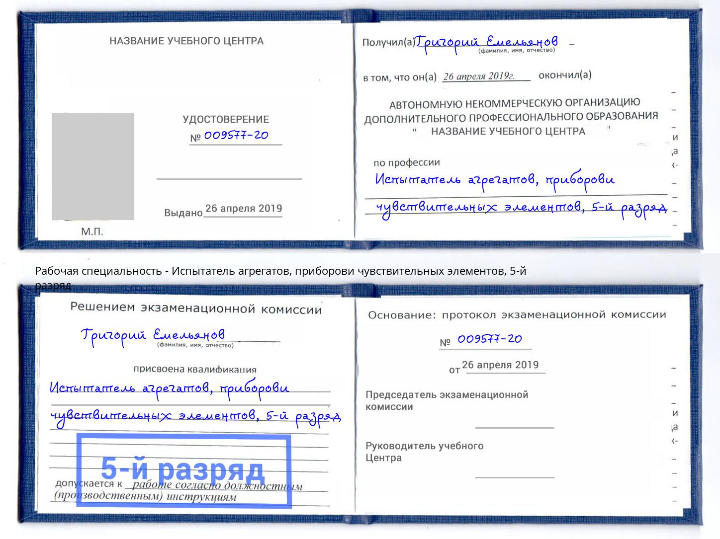 корочка 5-й разряд Испытатель агрегатов, приборови чувствительных элементов Тейково
