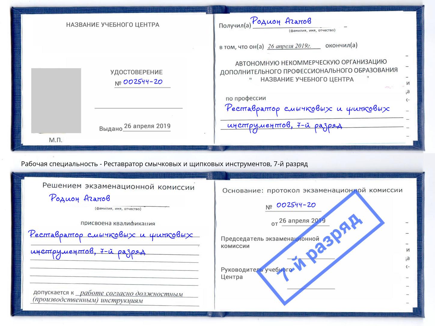 корочка 7-й разряд Реставратор смычковых и щипковых инструментов Тейково