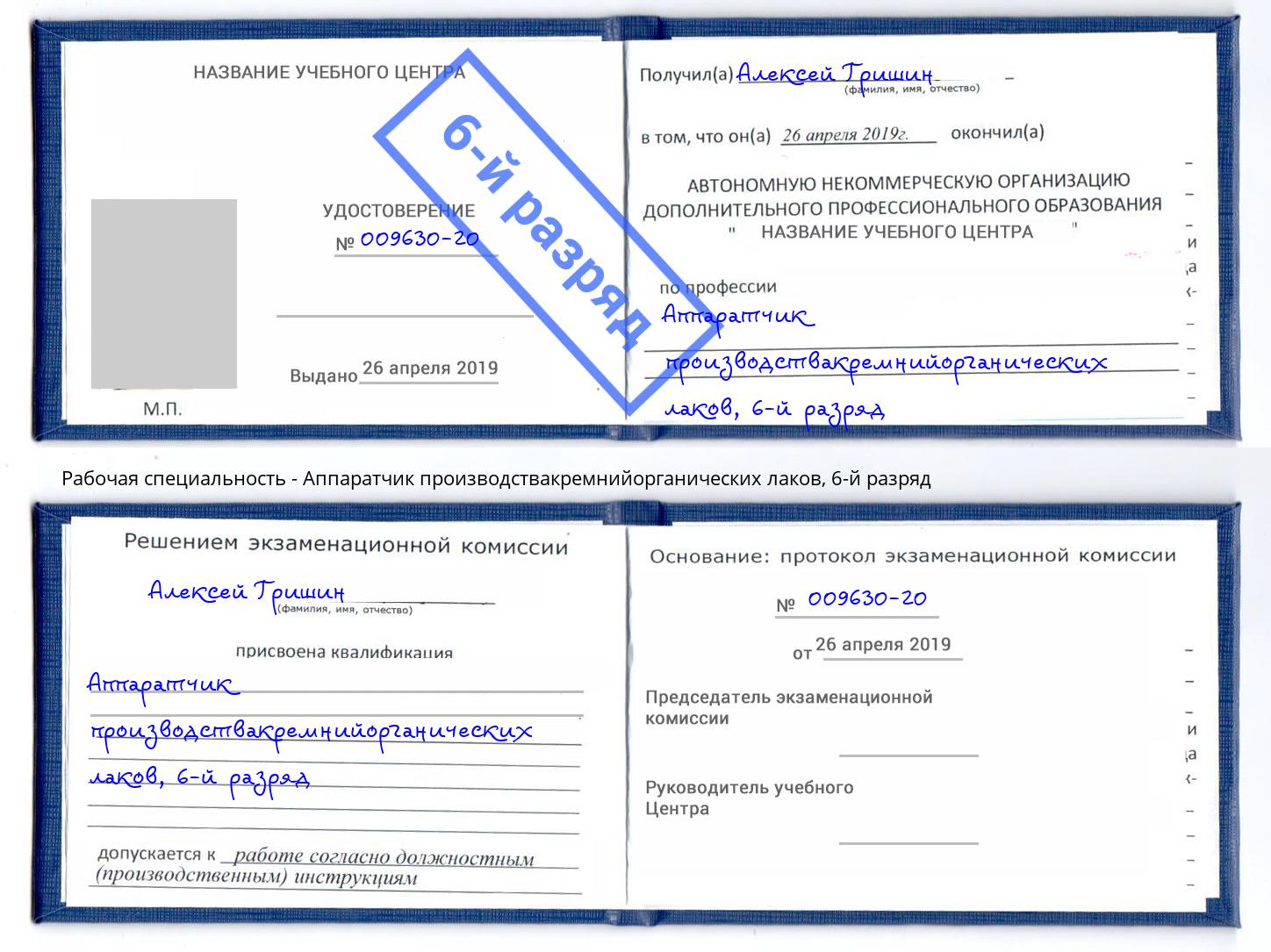 корочка 6-й разряд Аппаратчик производствакремнийорганических лаков Тейково