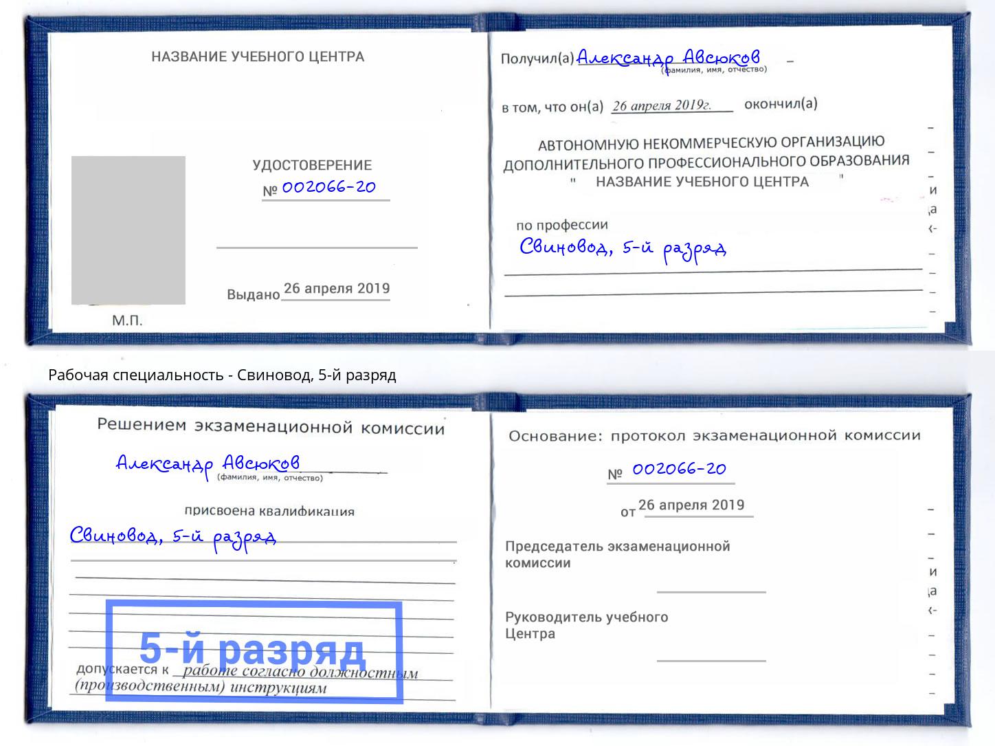 корочка 5-й разряд Свиновод Тейково