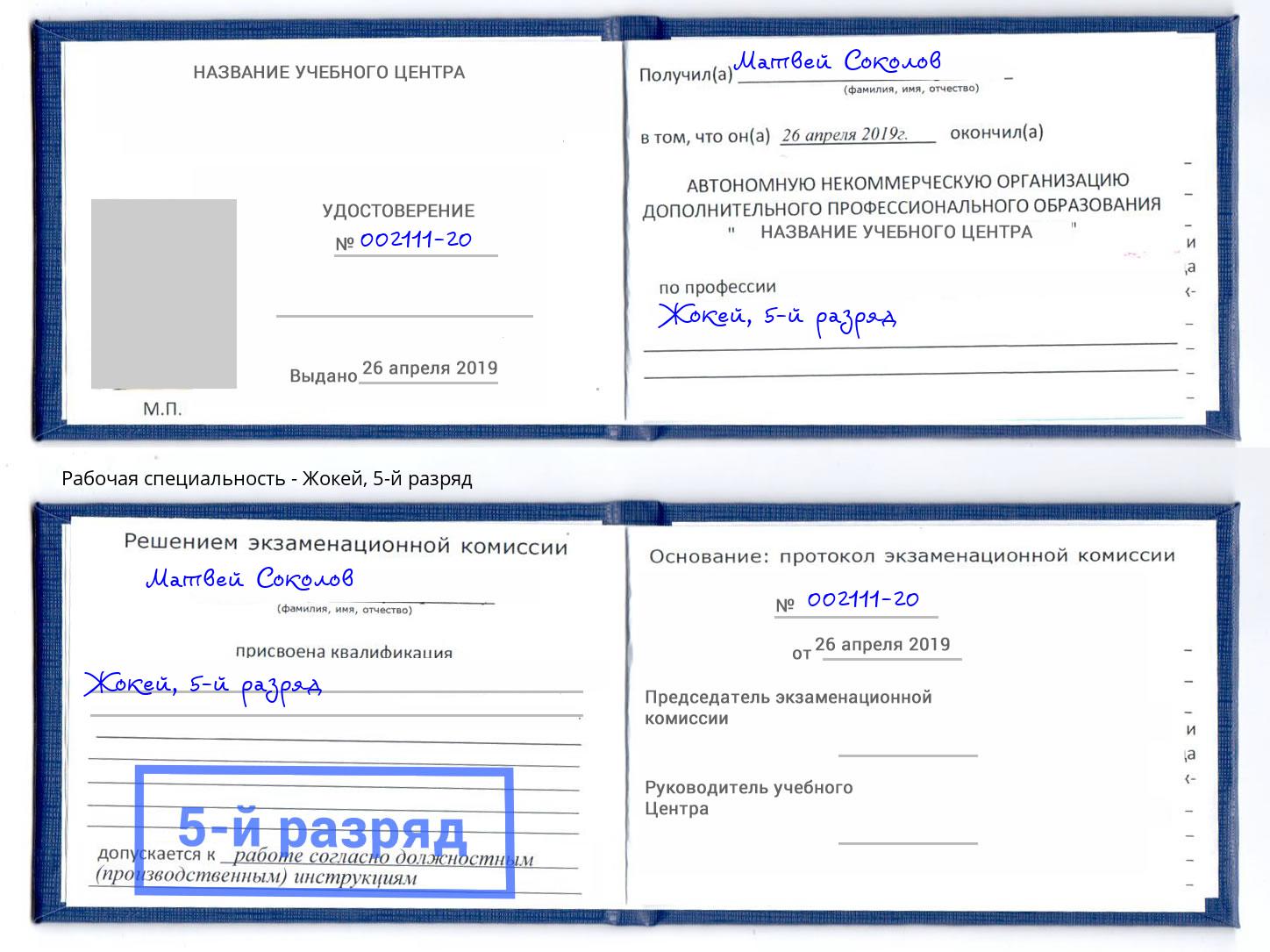 корочка 5-й разряд Жокей Тейково