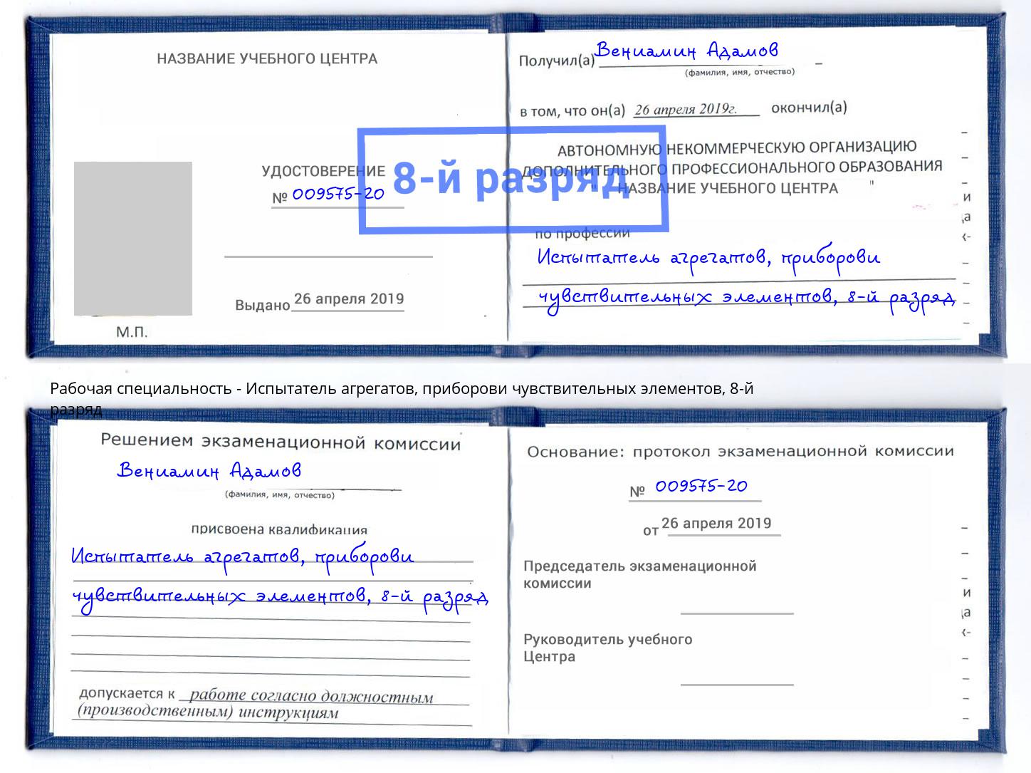 корочка 8-й разряд Испытатель агрегатов, приборови чувствительных элементов Тейково